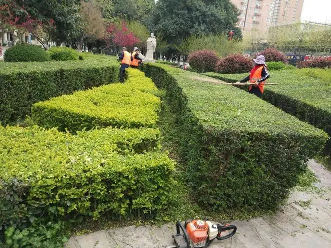 个旧城市道路两边的绿化归谁管