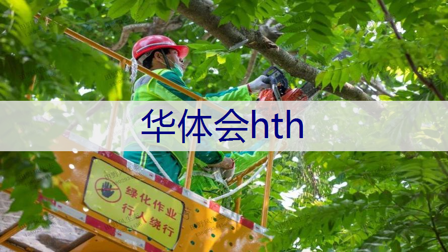 园林管理问题︰病虫害防治迫在眉睫！专家建言行动