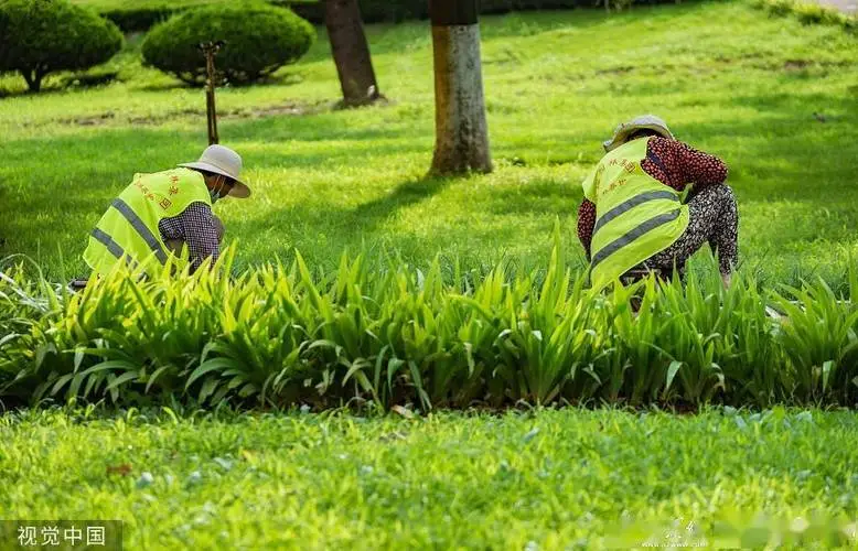 闵行区草坪绿化工程造价